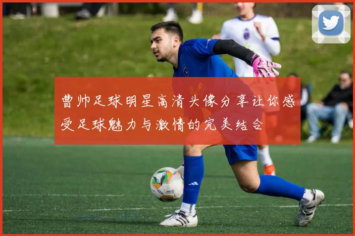 曹帅足球明星高清头像分享让你感受足球魅力与激情的完美结合