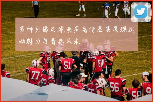 男神头像足球明星高清图集展现运动魅力与青春风采
