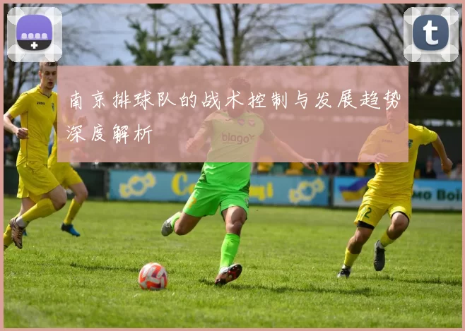 南京排球队的战术控制与发展趋势深度解析