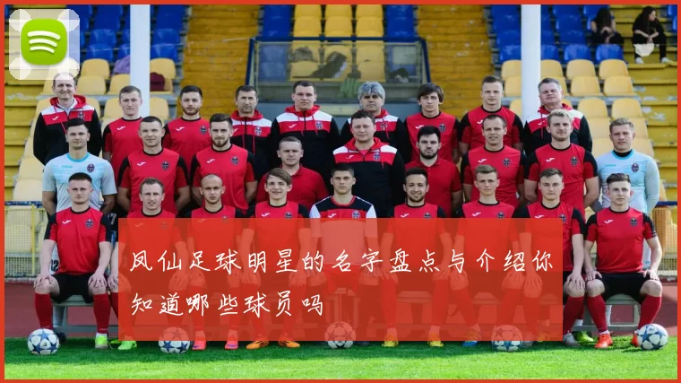 凤仙足球明星的名字盘点与介绍你知道哪些球员吗