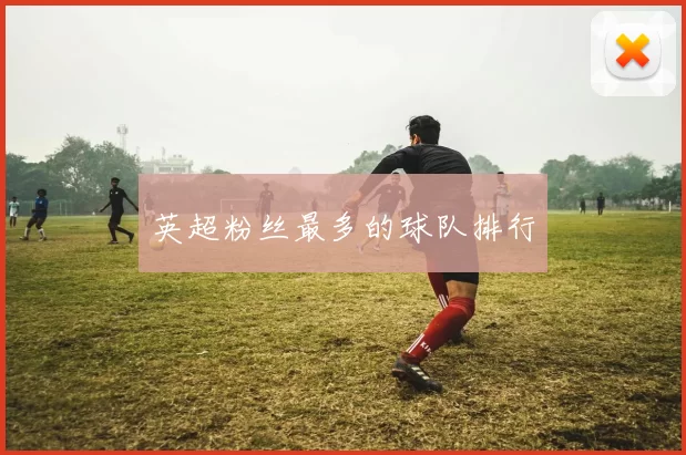 英超粉丝最多的球队排行