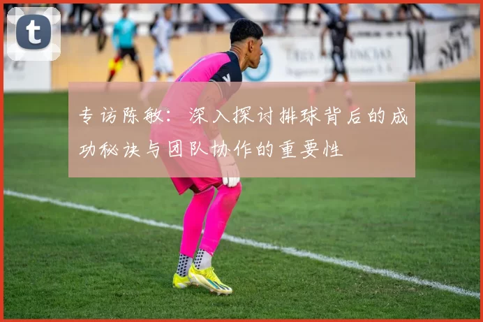 专访陈敏：深入探讨排球背后的成功秘诀与团队协作的重要性