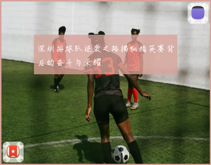 深圳排球队逆袭之路揭秘精英赛背后的奋斗与荣耀