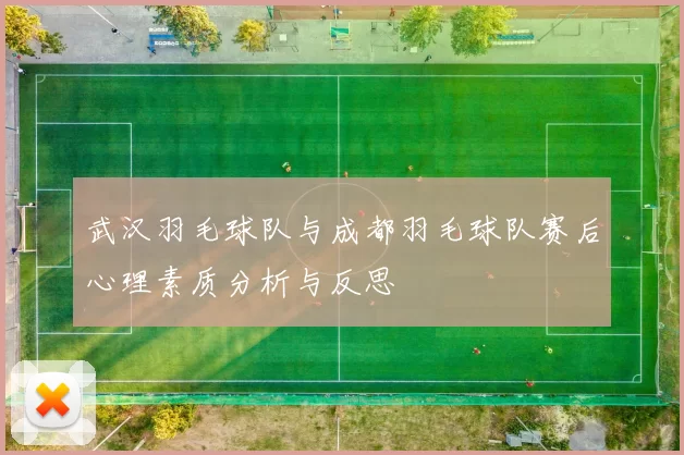 武汉羽毛球队与成都羽毛球队赛后心理素质分析与反思