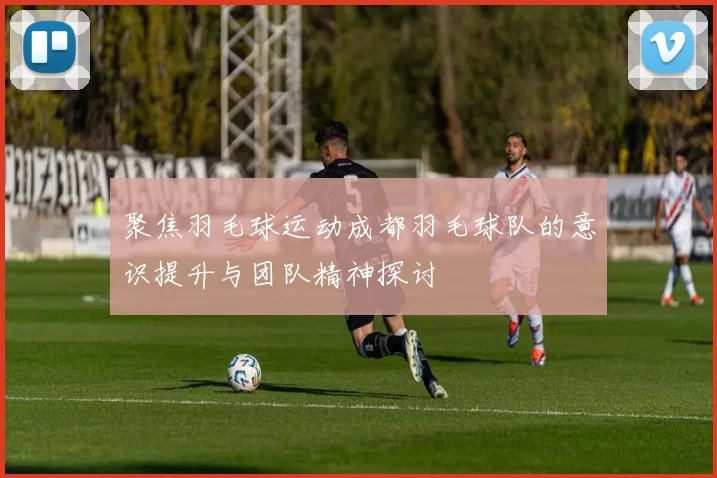 聚焦羽毛球运动成都羽毛球队的意识提升与团队精神探讨