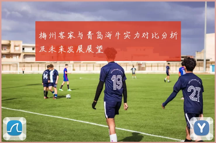 梅州客家与青岛海牛实力对比分析及未来发展展望
