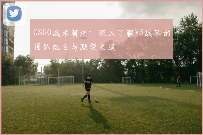 CSGO战术解析：深入了解V5战队的团队配合与默契之道