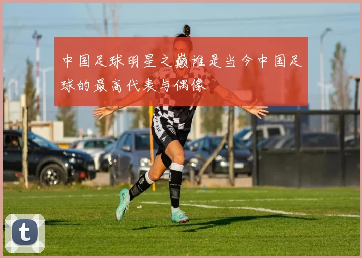 中国足球明星之巅谁是当今中国足球的最高代表与偶像