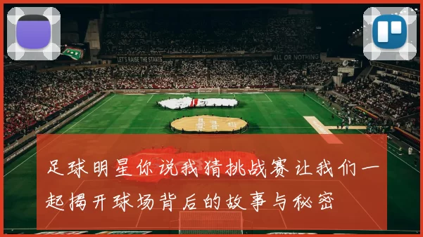 足球明星你说我猜挑战赛让我们一起揭开球场背后的故事与秘密