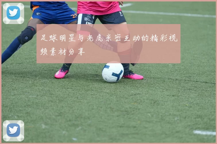 足球明星与老虎亲密互动的精彩视频素材分享