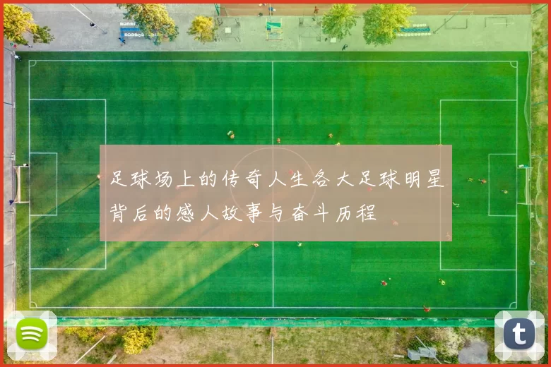 足球场上的传奇人生各大足球明星背后的感人故事与奋斗历程