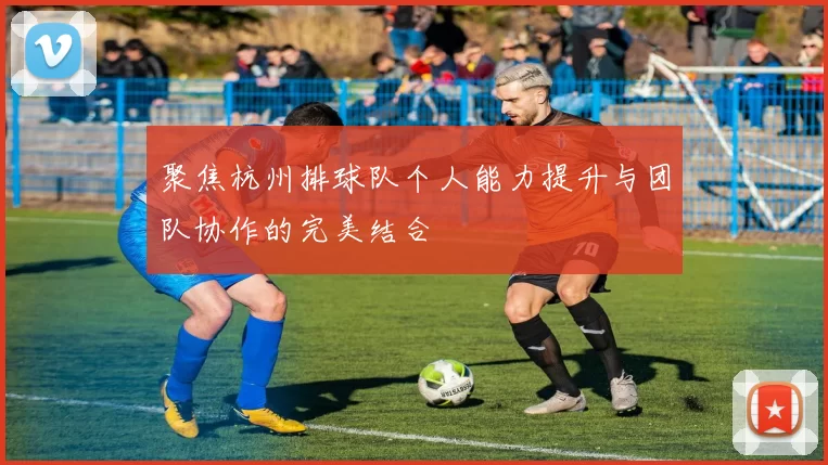 聚焦杭州排球队个人能力提升与团队协作的完美结合