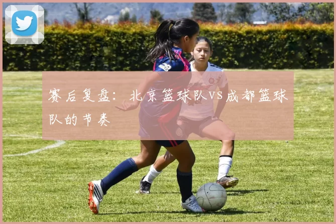 赛后复盘：北京篮球队vs成都篮球队的节奏