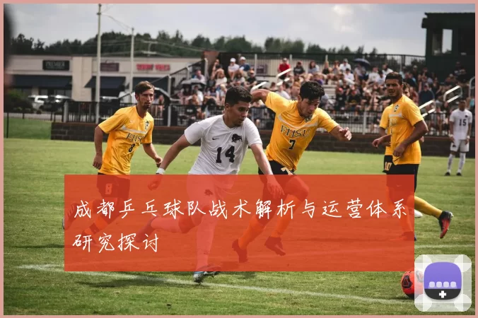 成都乒乓球队战术解析与运营体系研究探讨