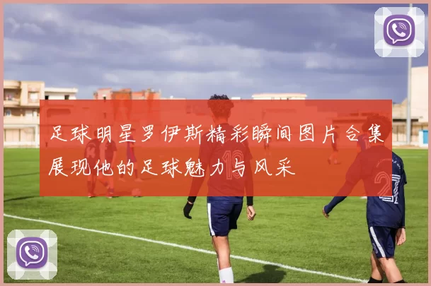 足球明星罗伊斯精彩瞬间图片合集展现他的足球魅力与风采