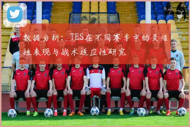 数据分析：TES在不同赛季中的灵活性表现与战术适应性研究